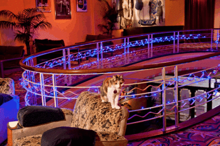 The Astor Theatre - Accommodation NT 3
