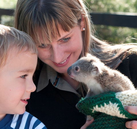 Australian Reptile Park - Accommodation NT 1