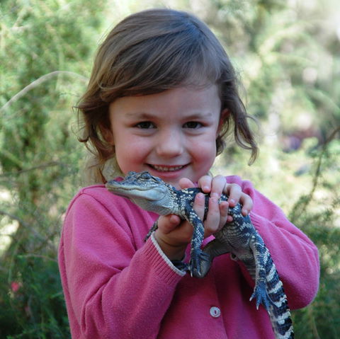 Australian Reptile Park - Accommodation NT 2