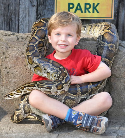 Australian Reptile Park - Accommodation NT 3