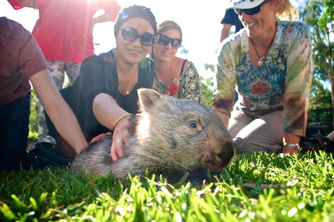 Australian Reptile Park - Accommodation NT 10