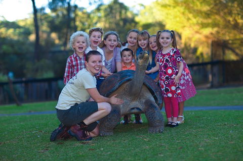 Australian Reptile Park - Accommodation NT 11