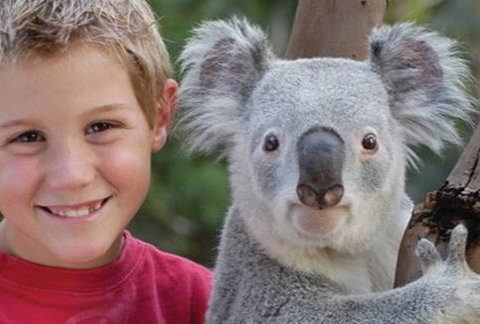 Featherdale Wildlife Park - Accommodation NT 1