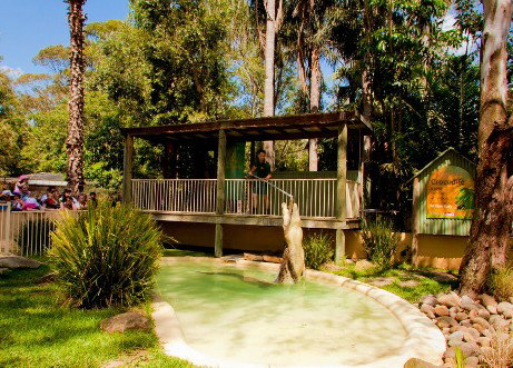 Featherdale Wildlife Park - Accommodation NT 2