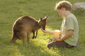 Cleland Wildlife Park - NT Tourism 4