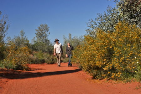 Alice Springs Desert Park - Accommodation NT 3