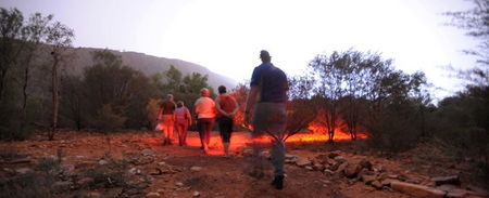 Alice Springs Desert Park - Accommodation NT 4