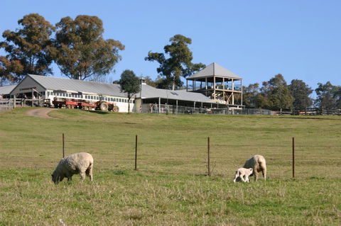 Calmsley Hill City Farm - Accommodation NT 3