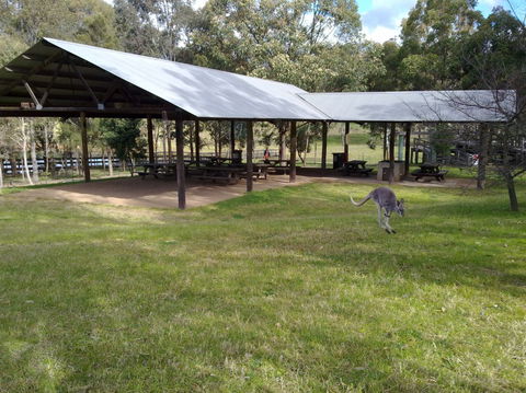 Calmsley Hill City Farm - Accommodation NT 5