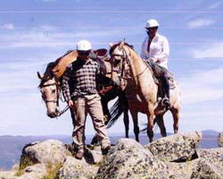 High Country Horses - Accommodation NT 3