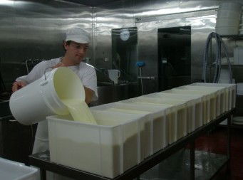 Witches Chase Cheese Co - Accommodation NT 1