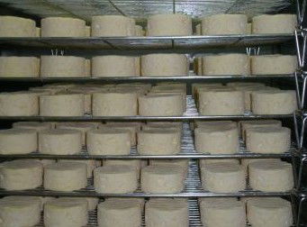 Witches Chase Cheese Co - Accommodation NT 5