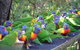 Gorge Wildlife Park - thumb 4
