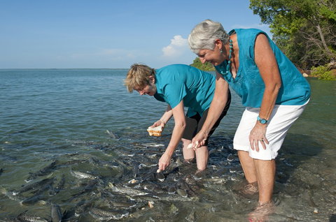 Aquascene Fish Feeding Sanctuary - Accommodation NT 0