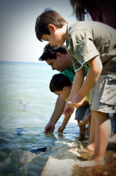 Aquascene Fish Feeding Sanctuary - Accommodation NT 3