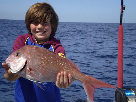 Mills Charters Fishing And Whale Watch Cruises - Accommodation NT 4