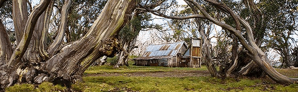 High Country Scenic Tours - Accommodation NT 0