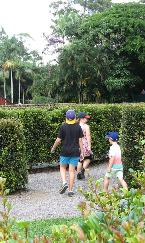 Bellingham Maze - Accommodation NT 2