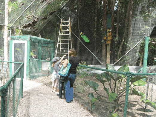 Bellingham Maze - Accommodation NT 7