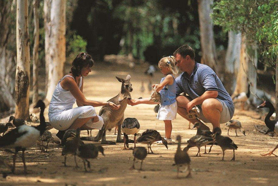 Shelly Beach QLD Accommodation NT