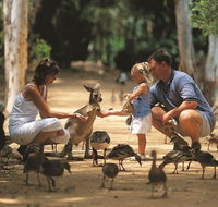 Billabong Sanctuary - Accommodation NT
