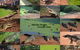 The Malcolm Douglas Crocodile Park - thumb 0