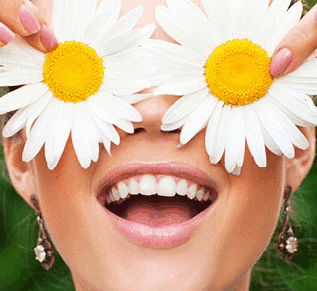 Australia Fair Shopping Centre - Accommodation NT