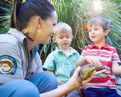 David Fleay Wildlife Park - Accommodation NT 3