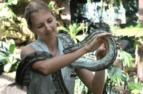 Cairns Wildlife Dome - Accommodation NT 2