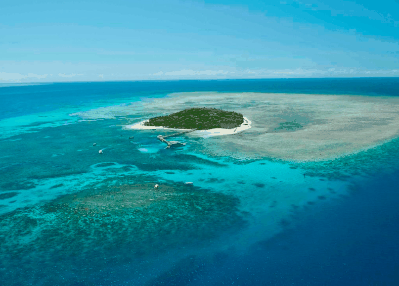Big Cat Green Island Reef Cruises - Accommodation NT 1