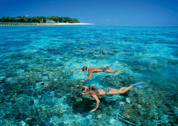 Big Cat Green Island Reef Cruises - Accommodation NT 4