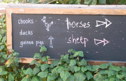 Collingwood Children's Farm - Accommodation NT 4