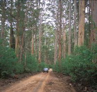 Boranup Drive - Accommodation NT