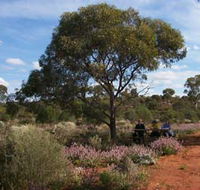 Karlkurla Bushland Park - Accommodation NT