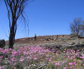 Talgomine Reserve - Accommodation NT 0