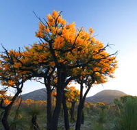 Cape Le Grand National Park - Accommodation NT