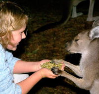 Discovery Bay's Walk on the Wild Side - Accommodation NT