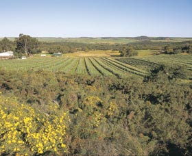 Chapman Valley Scenic Drive - Accommodation NT 0