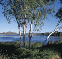 Celebrity Tree Park - Accommodation NT