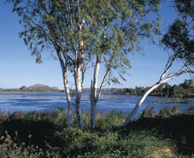 Celebrity Tree Park - Accommodation NT 0