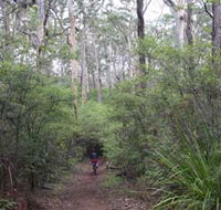 Margaret River Rails Trail - Accommodation NT