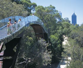 Lotterywest Federation Walkway - Accommodation NT 0