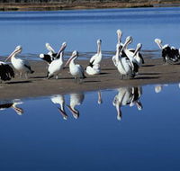 Peel Region Canoe Trails - Accommodation NT