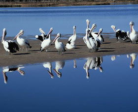 Peel Region Canoe Trails - Accommodation NT 0