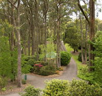 Mount Lofty Botanic Garden - Accommodation NT