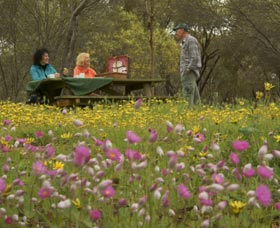 Gwambygine Park - Accommodation NT 0