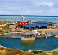 Ocean Park Aquarium - Accommodation NT