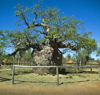 Pigeon Heritage Trail - Accommodation NT