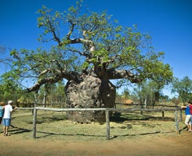 Pigeon Heritage Trail - Accommodation NT 0