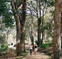 Law Trail and Lotterywest Federation Walkway Kings Park - Accommodation NT